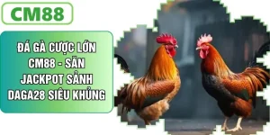 Đá Gà Cược Lớn CM88 - Săn Giải Jackpot Sảnh Daga28 Siêu Khủng